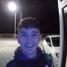 Blood Results in Clinical Practice: A practical guide to interpreting blood  test results by Basten, Graham