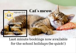 Although most clients own either dogs or cats, we welcome birds, fish. Schoolhols Vacancies Catboarding Luxury Cats Qld Australia Http Petstayadvisor Com Au Cat Boarding Pet Boarding Camping With Cats