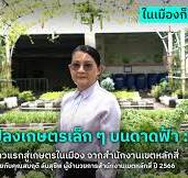 แปลงเกษตรบนดาดฟ้า : ก้าวแรกสู่เกษตรในเมือง จากสำนักงานเขตหลักสี่
