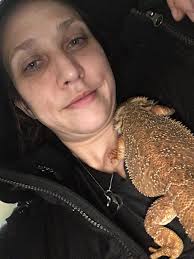 Rescued Bearded Dragon Gets Care and Shelter