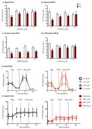 Garnish with a fresh strawberry and basil sprig. Biomolecules April 2020 Browse Articles