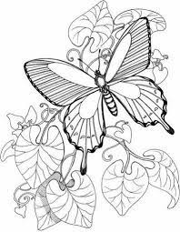 Dibujos Y Plantillas Para Imprimir Mariposas Y Flores Bordado Mexicano Patrones Mariposas De Colores Patrones Para Bordar