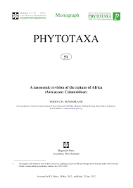 Image result for Eremospatha cuspidata