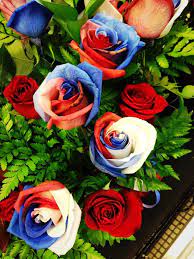 Happy 4th of july. your bravery and resilience are unmatched and so is your commitment to this the flowers àre smîlîng àt us wîth delîght. I Pinimg Com Originals 68 89 C1 6889c162bf2fa97
