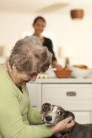 Our goal is to make every patient feel as if he or she is our only maria has 20 years of experience working in multiple capacities, in home care and assisted living facilities. From South Africa To Warwickshire Beverley S Experiences As A Live In Carer Helping Hands Home Care