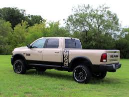 Image result for Power Tan 2025 Ram