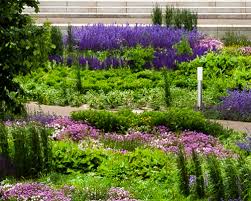 We did not find results for: Flower Your Place Flowerbulbs Perennials And Wildflower Seeds Mechanically Planted Flower Bulbs Mixtures And Perennial Concept