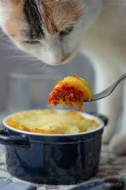 Parmentier De Morue Passions Gourmandes Morue Parmentier Alimentation
