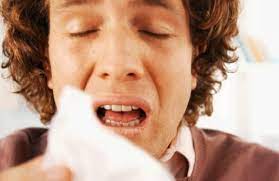 Schnupfen Rhinitis Ursachen Symptome Hilfe Phytodoc
