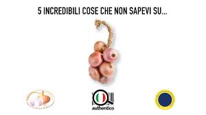 Check spelling or type a new query. 5 Incredibili Cose Che Non Sapevi Sulla Cipolla Ramata Di Montoro Authentico