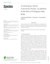 Image result for Sehima