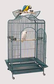 Bird Cage For Sale Cheap Pin On Medium Bird Cages