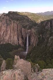 Enjoy the scenery and outdoors of sierra madre occidental as you go on a hiking tour and learn all about the flora and fauna. Sierra Madre Occidental Wikipedia