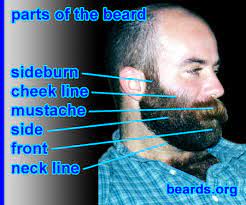 Beard Terminology All About Beards