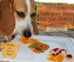 Thanksgiving is a holiday that has lots of traditional dishes that are very canine friendly, hennessy says. Thanksgiving Dinner Recipe For Your Dog And Cat Dog Thanksgiving Healthy Thanksgiving Dinner Thanksgiving Dinner Recipes