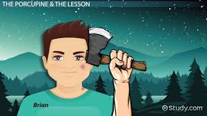 Hatchet Chapter 8 Summary Video