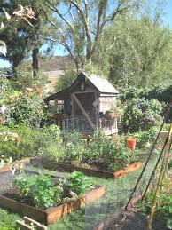 Chicken Coop With Surrounding Garden Vegetable Gardening Vegetable Gardening For Beginners Veget Vegetable Garden For Beginners Cottage Garden Potager Garden