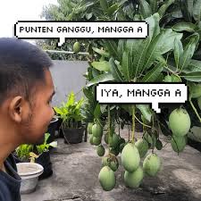 We did not find results for: Rizki D Perkasa Tarik Sis Semangga Mangga Atau Mempelam Adalah Nama Sejenis Buah Demikian Pula Nama Pohonnya Mangga Termasuk Ke Dalam Marga Mangifera Yang Terdiri Dari 35 40 Anggota Dari Suku Anacardiaceae