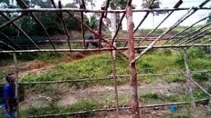 Maklumat ttg penternakan ayam kampung kacuk dr reban hingga penjualan.di dokumentarikan kerana kesukaran penternak. Projek Reban Ayam Ternakan Ayam Kampung Youtube