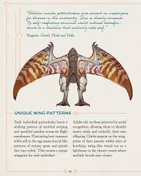 Image result for Heteromorpha involucrata