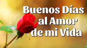 Tarjetas De Buenos Dias Amor Frases Tarjetas Fotos Buenos Dias Amor Poema Buenos Dias Frases De Buenos Dias