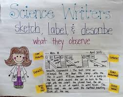 Ela Anchor Charts Science Writers Sketch Label And