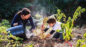 Similar trends in historical accumulation of invasive forest insect pests and diseases have. How To Prevent Invasive Species From Spreading