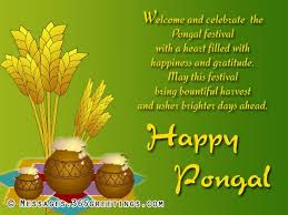 *have a happy and joyous pongal! Pongal Wishes Messages And Pongal Greetings 365greetings Com Happy Pongal Wishes Happy Pongal Happy Sankranti