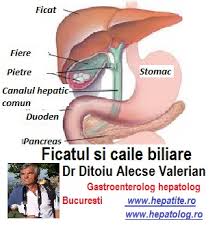 Bolile Colecistului Inflamat Sau Malformat Cabinet De Gastroenterologie Si Hepatologie Bucuresti 0758 751 841