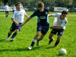 Stampa: noviembre 2013