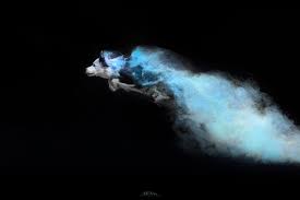 Adi Segal Photography