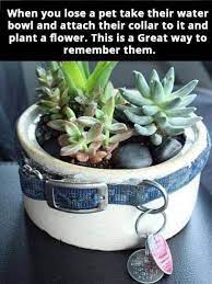 Your love is felt by your pets even after they pass. Coping With The Loss Of Your Pet Archives Ealingvets