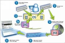 How do i change the management information for a corporation or llc? Hacking The Ultimate Hacking For Beginners Pdf Txt