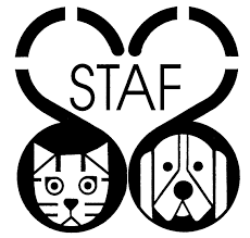 Adoption professionals, a private adoption agency specializing in open and closed adoptions. Pets For Adoption At Save The Animals Foundation In Cincinnati Oh Petfinder