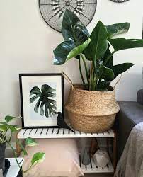 Pin On Inspiring Ideas