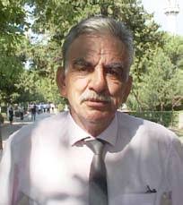 Shpëtoni rrugën e arbrit!