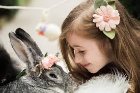 Daisy Felt Flower Headband or Alligator Clip // Blush Pink, Giddyupandgrow 