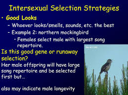 It can be male or be female. Ppt Males And Females Often Look Different Powerpoint Presentation Free Download Id 6701776