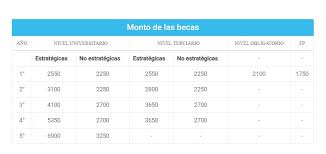 Las becas están dirigidas a cuatro grupos de alumnos: Planean Extender Las Becas Progresar Y Duplicaran El Presupuesto Para El 2021