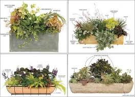 The Perfect Window Box Boston Com Window Box Window Box Garden Garden Center
