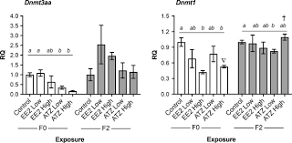 You are confident and your own man. Atrazine Induced Transgenerational Reproductive Effects In Medaka Oryzias Latipes Sciencedirect
