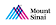 Mount Sinai Health System logo