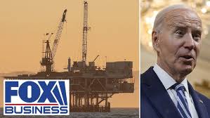 Sophie The Swamp Witch, Neopets Commercial