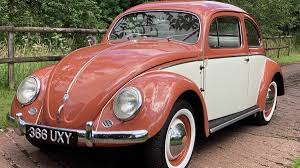 Image result for Coral Red 1950 Beetle
