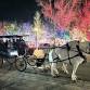 Ogden Christmas Village Horse Drawn Carriage Rides event in Ogden, UT
