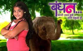 Bandhan 2014 Tv Series Wikipedia A man lives with his wife and two sons. bandhan 2014 tv series wikipedia