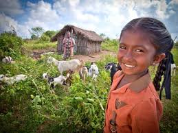 For the first six months of its life, a baby goat is called a kid. 11 Reasons We Re Celebrating The Year Of The Goat India World Vision International