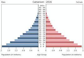 cameroon age structure demographics