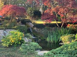 Check spelling or type a new query. A Garden In Peachtree City Georgia Finegardening