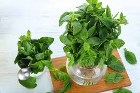 Gather stems into small, loose bunches. How To Store Fresh Herbs The Right Way Taste Of Home